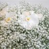 close up of gypsophelia and phalaenopsis