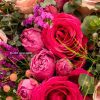 close up of pink roses