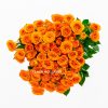 Orange Spray rose flowers