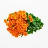 Orange Spray rose flowers