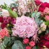 Close up of pink flowers