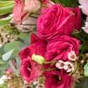 close of pink eustoma