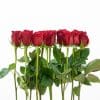 12 red roses