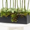 black box with moss