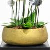 close up of gold pot