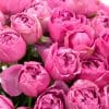 close up of Misty bubble spray roses