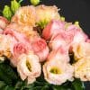 Close up of Eustoma