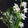 Cymbidium orchids with foliage