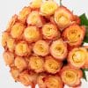 25 stems of orange roses