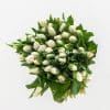 50 stems of white tulips