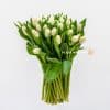 50 stems of white tulips