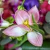 Ava Flower Arrangement