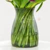 50 Mixed Tulips In A Glass Vase