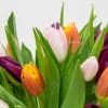 50 Mixed Tulips In A Glass Vase