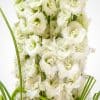 Sarah Flower Arrangement