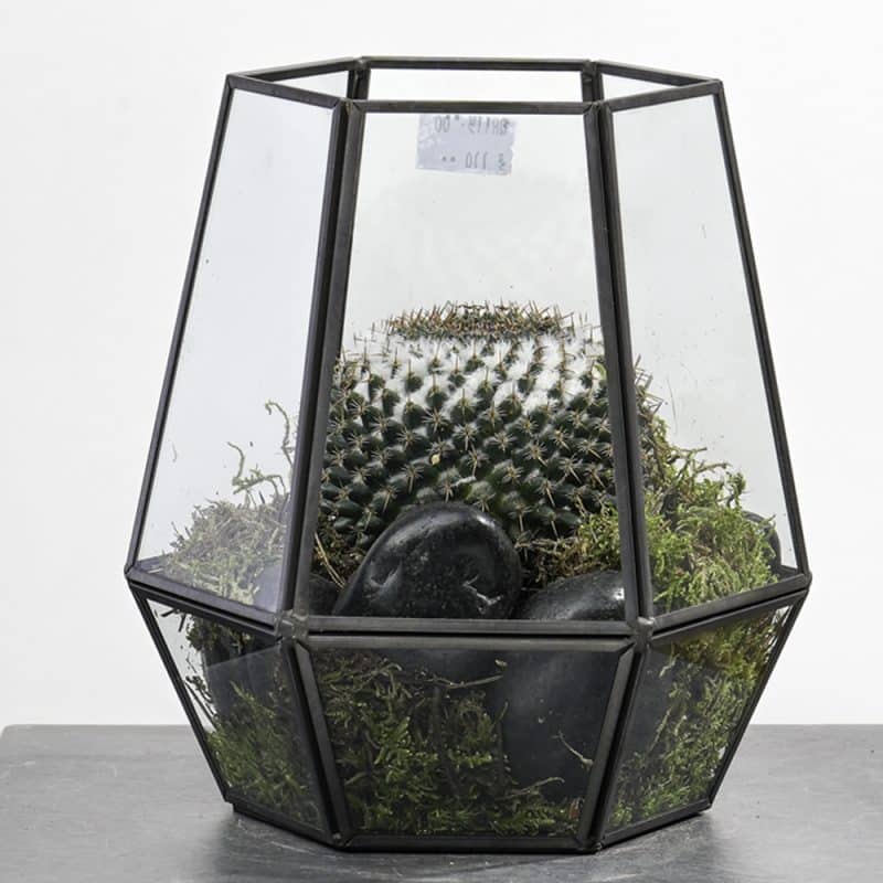 Geometric Hanging Cactus Terrarium - Image 2