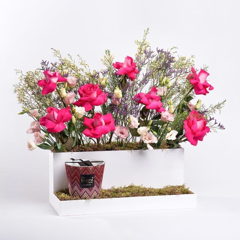 Radiant Rose and Wax Flower Arrangement
