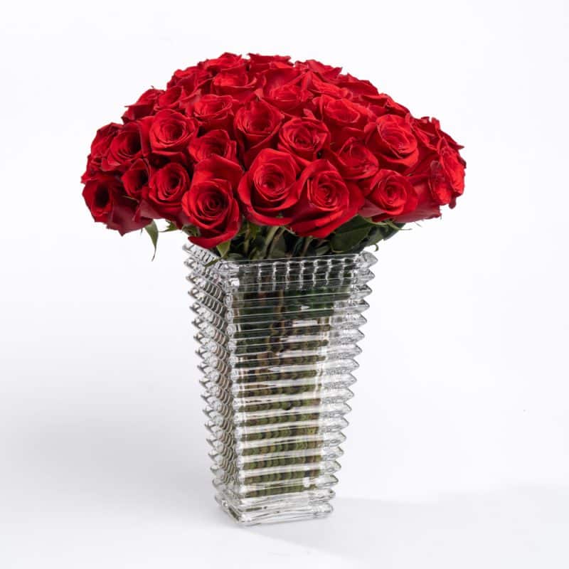 50 Roses of Love