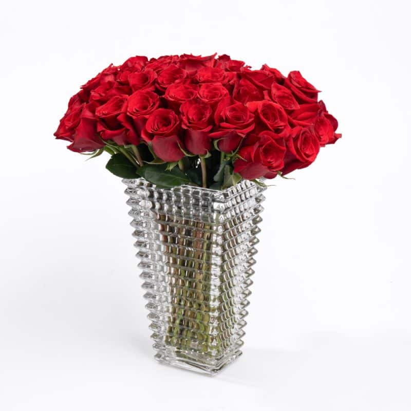 50 Roses of Love
