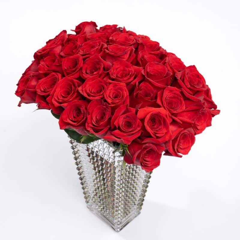 50 Roses of Love