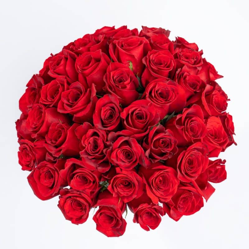 75 Roses of Love