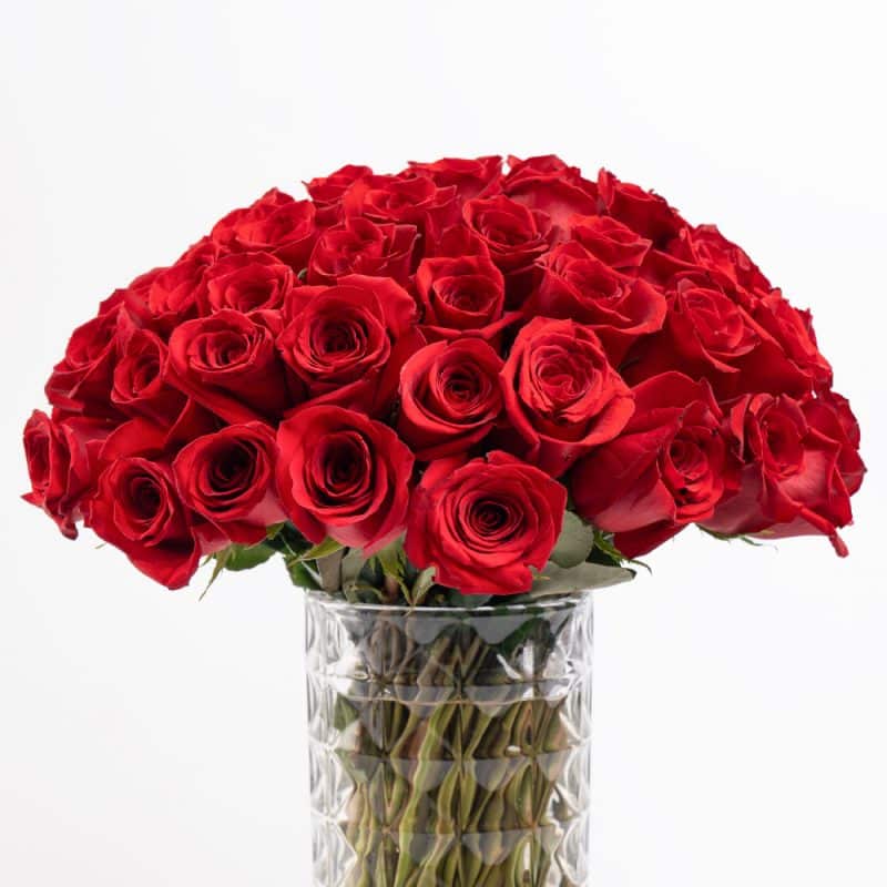75 Roses of Love