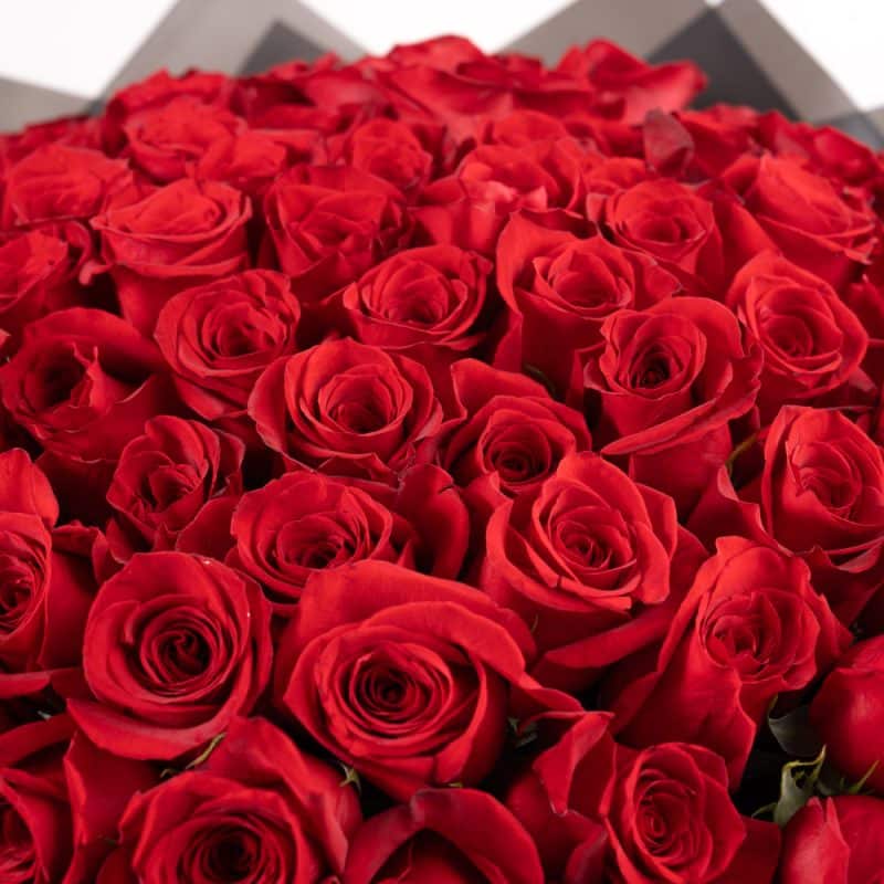100 Roses of Love