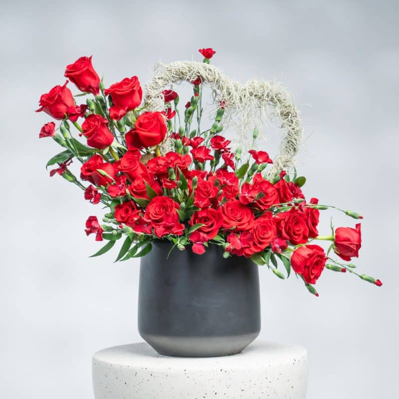 Velvet Red Heart: Roses, Spray Carnation & Air Plant in Black Pot (50 cm)