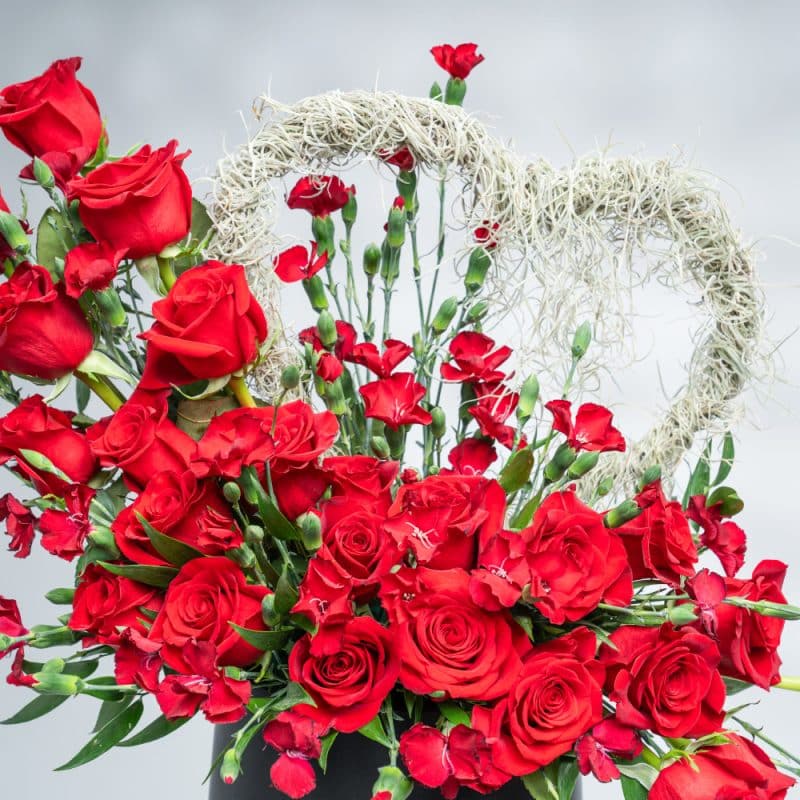 Velvet Red Heart: Roses, Spray Carnation & Air Plant in Black Pot (50 cm)