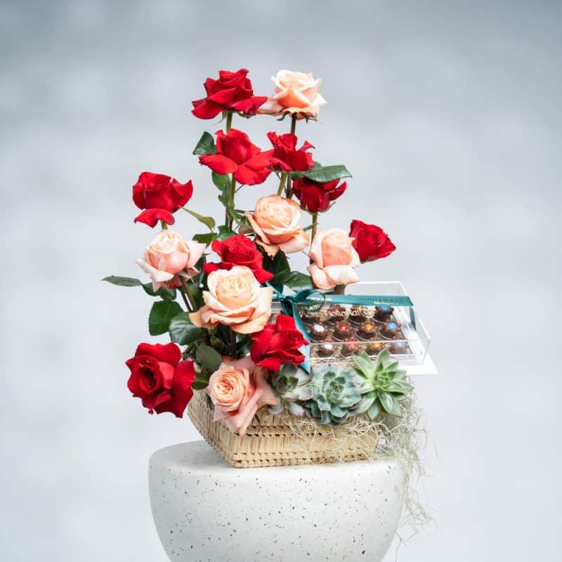Red & Peach Roses with Echeveria (H 58 cm) and Chocolate