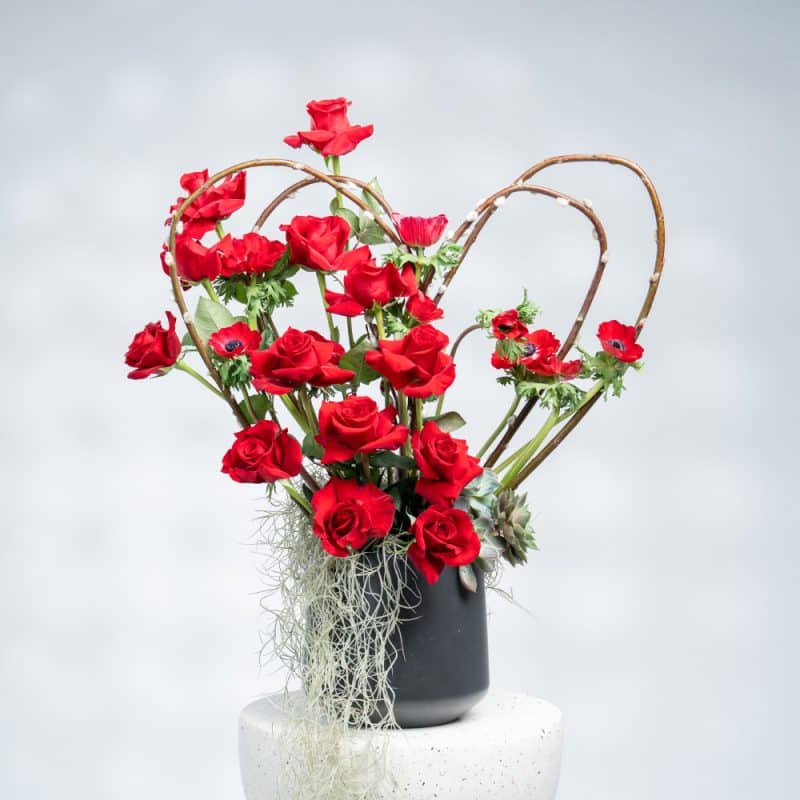 Love: Red Roses & Air Plant in Black Pot (H 80 cm)