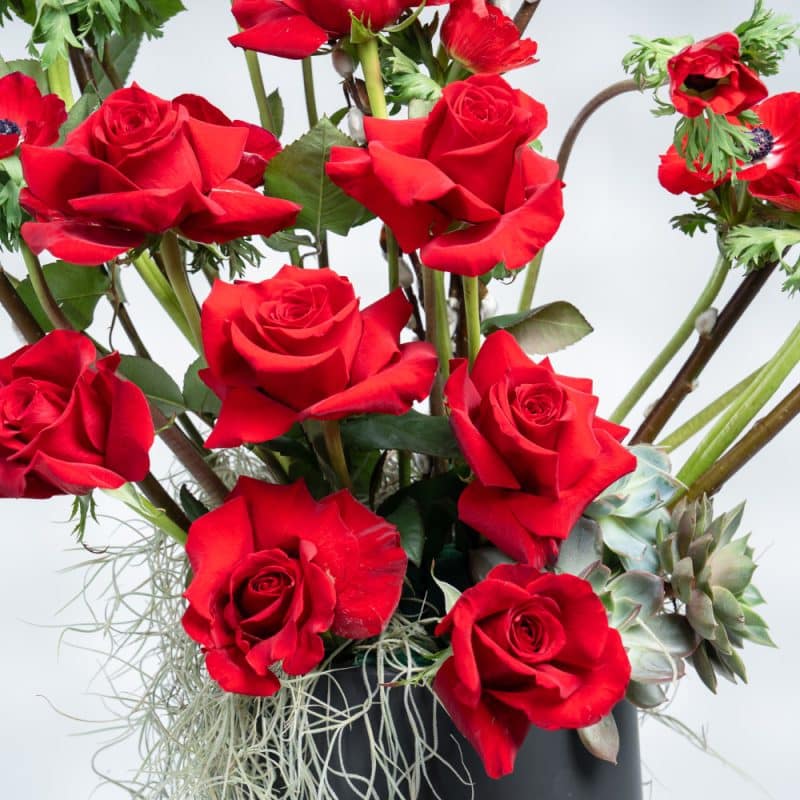 Love: Red Roses & Air Plant in Black Pot (H 80 cm)