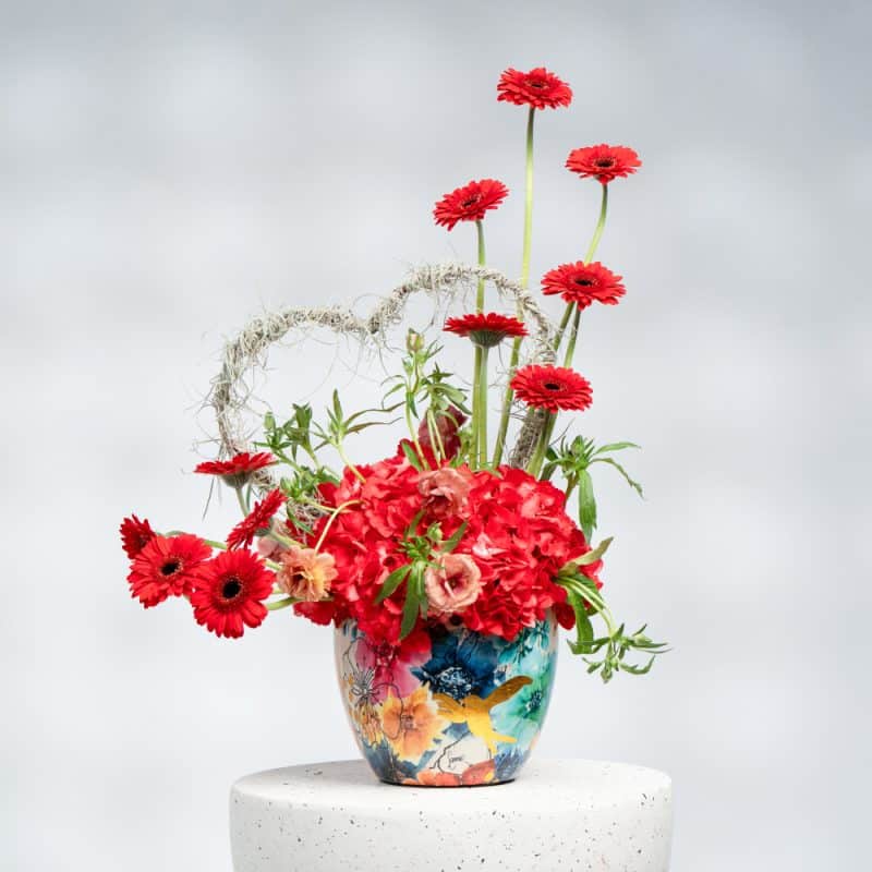Heartfelt Blooms: Red Hydrangea, Gerbera in Pot (H 25 cm)