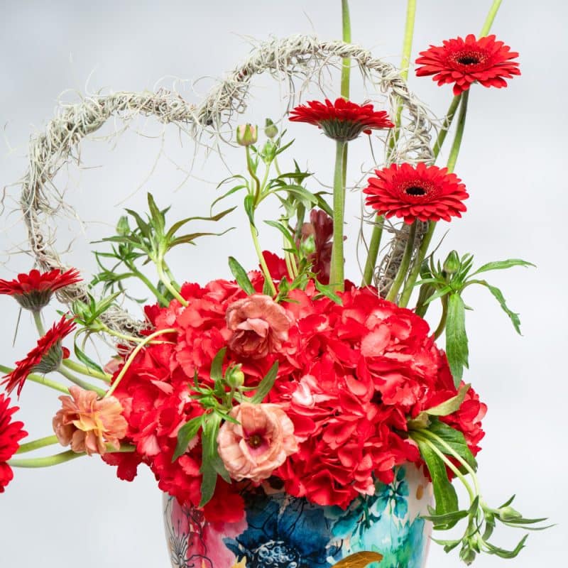 Heartfelt Blooms: Red Hydrangea, Gerbera in Pot (H 25 cm)