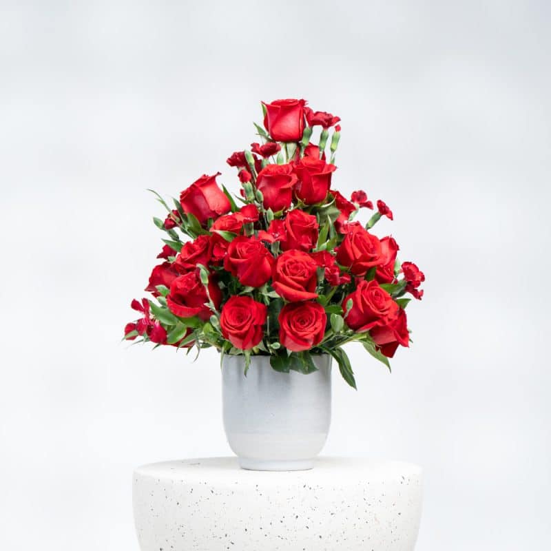 Romantic Blooms: Red Roses & Spray Carnation with Pot (H 50 cm)