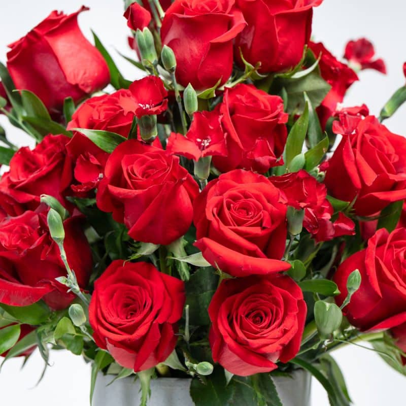 Romantic Blooms: Red Roses & Spray Carnation with Pot (H 50 cm)