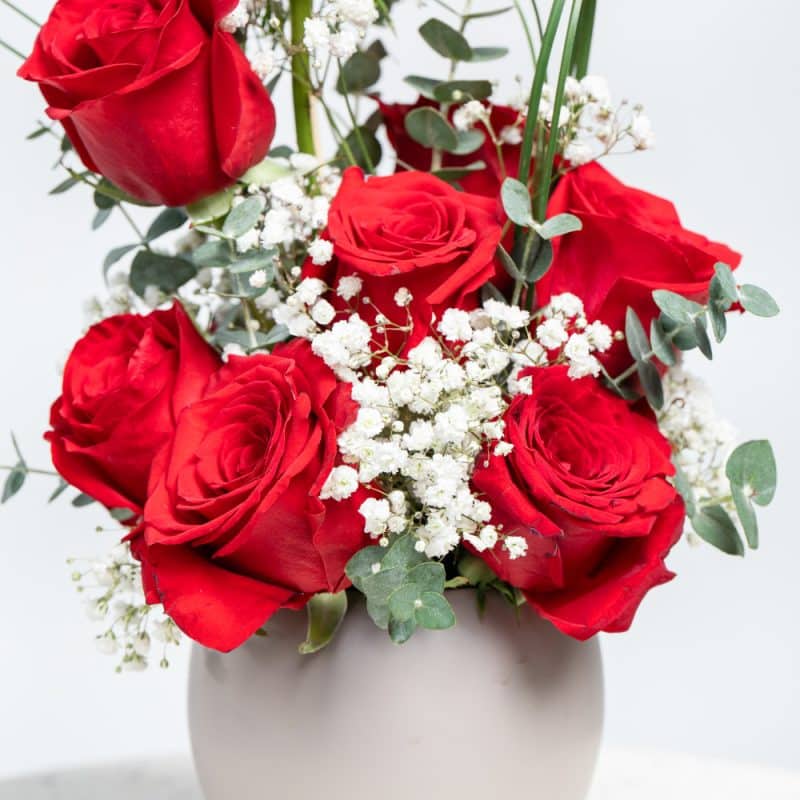 Red Roses, Eucalyptus & Steel Grass in Stylish Pot - 30 cm Height