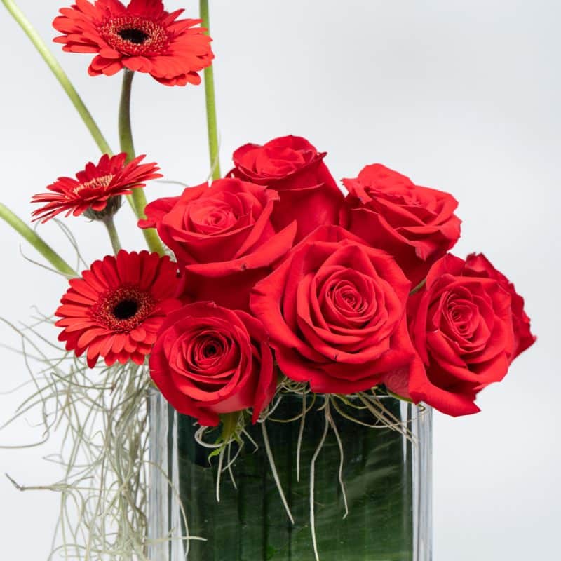 Romantic Red Roses & Gerbera in Glass Vase (35 cm)