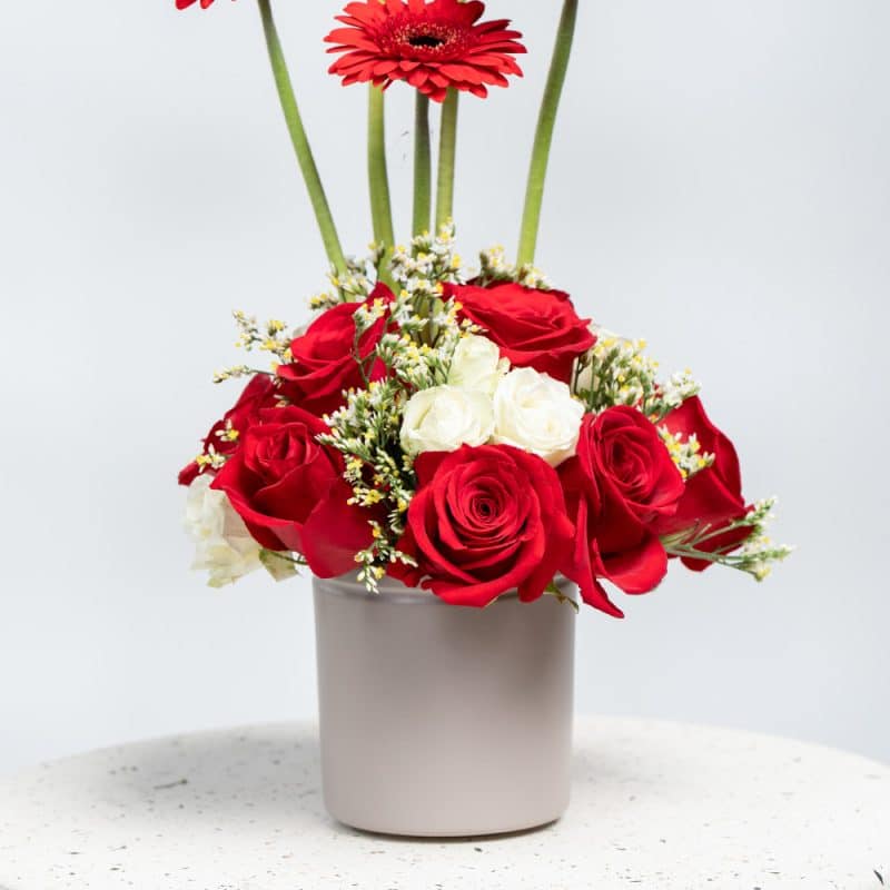Elegant Red Gerbera & Rose Bouquet with White Baby Roses & Limonium in Pot (H 40 cm)
