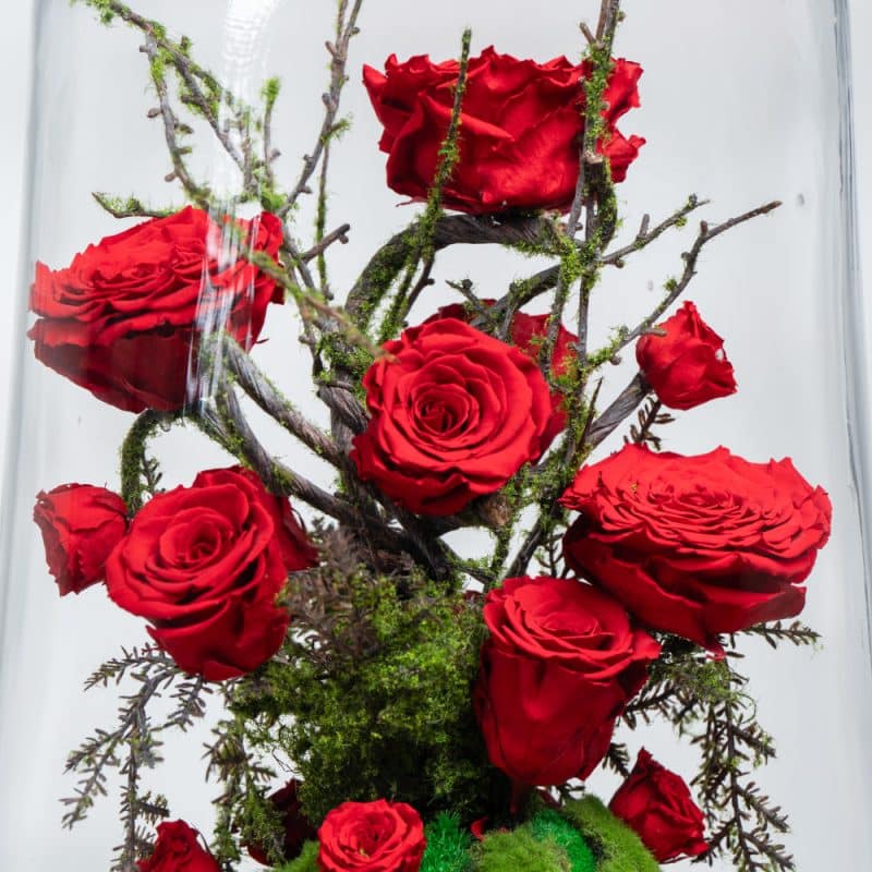 Preserved Roses & Moss Dome with Wooden Base - H 46 cm