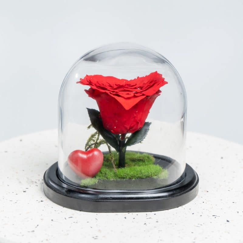 a heart shape rose in a glass dome