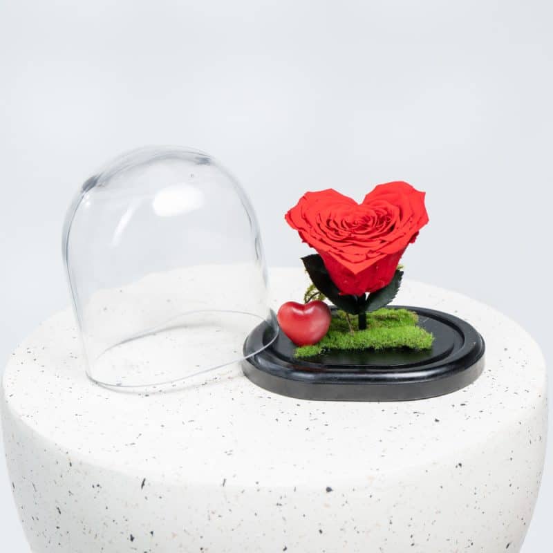 Heart-Shaped Preserved Rose in Glass Dome