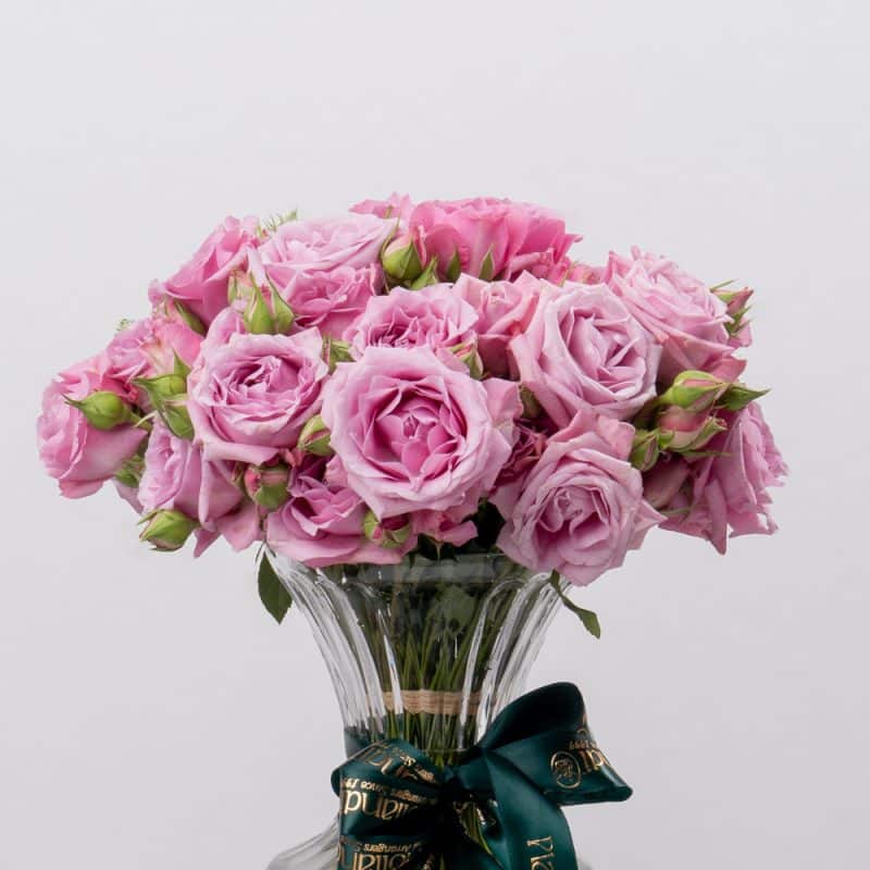 Light Purple Spray Roses in Stylish Glass Vase (20 cm)