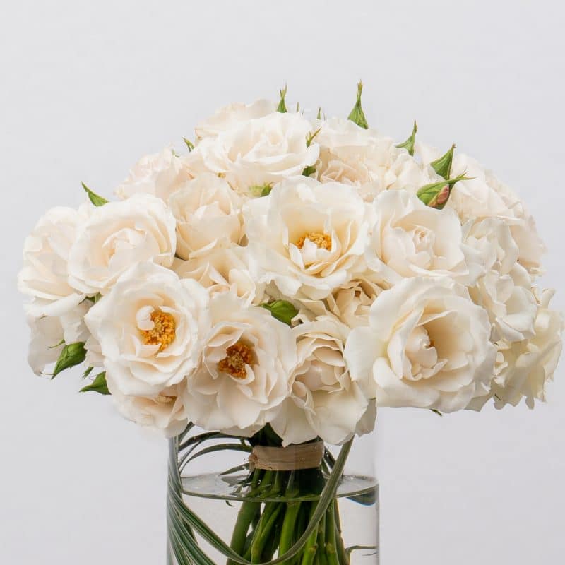 White Spray Roses in Glass Vase - 20 CM