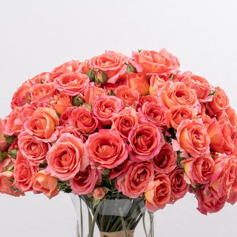 Dark Orange Spray Roses in Glass Vase