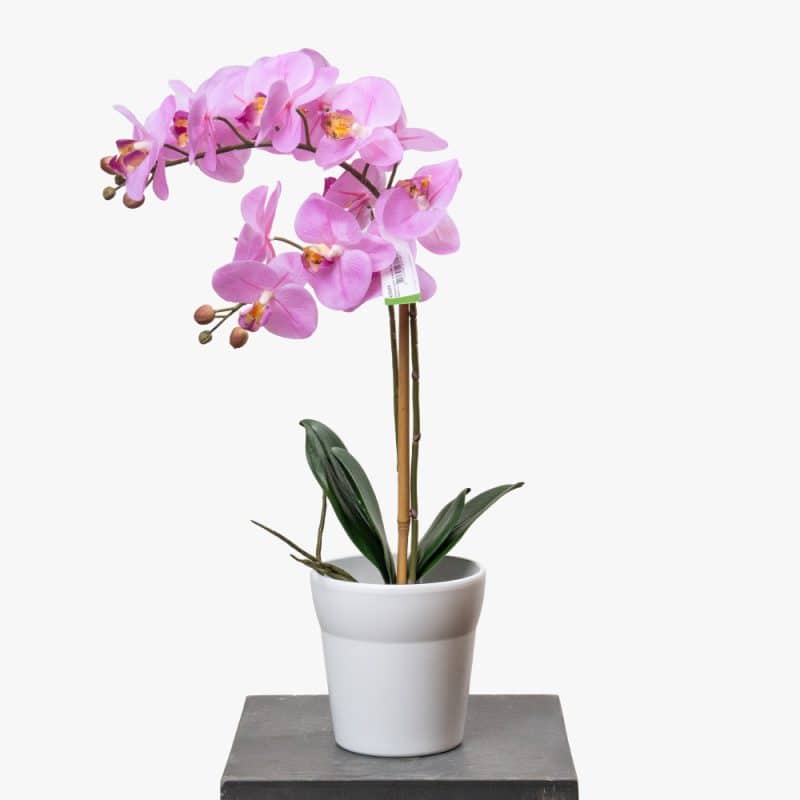 Artificial Phalaenopsis Orchid
