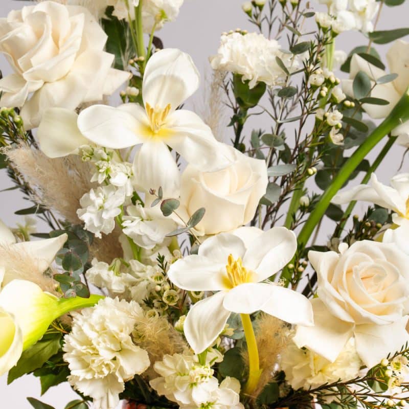 Timeless Grace with White Roses, Tulips and Pampas