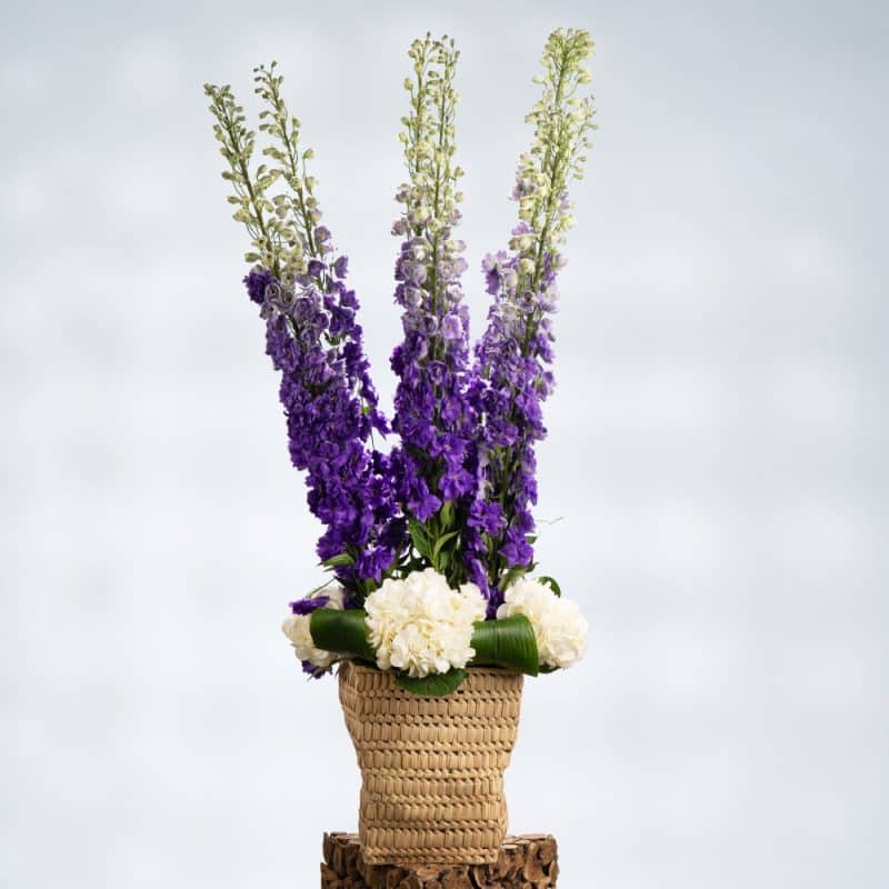 Blue Delphinium & White Roses in Reed Basket – 100cm