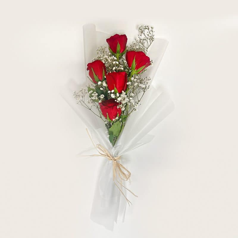 Red Rosed in white wrap