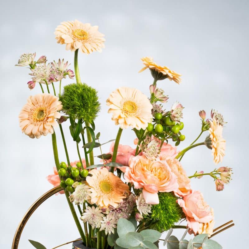 Whimsical Garden: Peach Roses, Gerbera & Carnation in Designer Pot